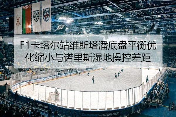 F1卡塔尔站维斯塔潘底盘平衡优化缩小与诺里斯湿地操控差距